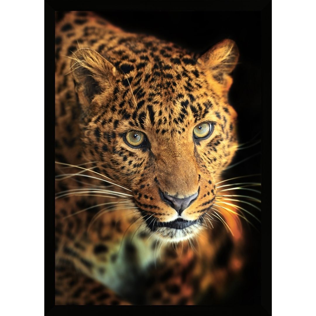UV Leopard Painting 75x105cm